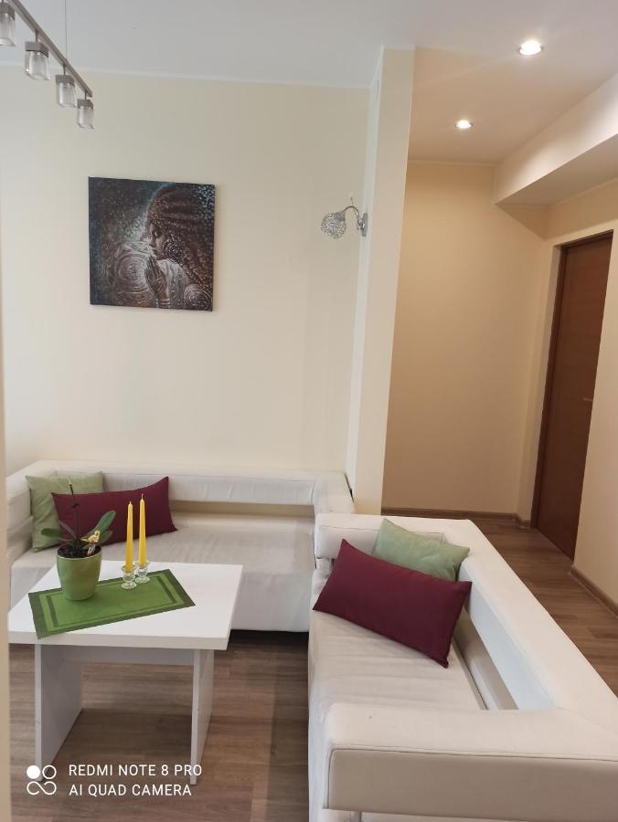 Nelli Apartamentai 드루스키닝카이 외부 사진